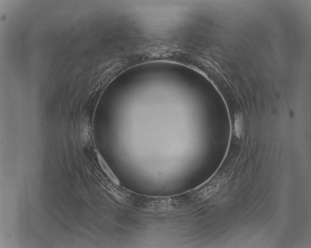 X0000071391444200606261426
