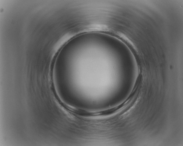 X0000071391469200606261426