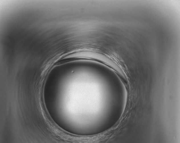 X0000071390001200606301848