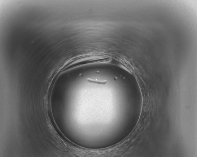 X0000071390002200606301848