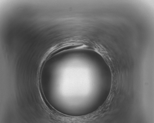 X0000071390003200606301848