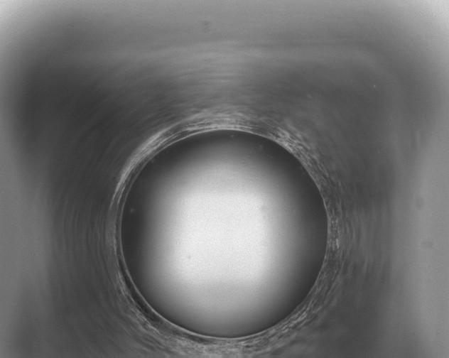 X0000071390004200606301848