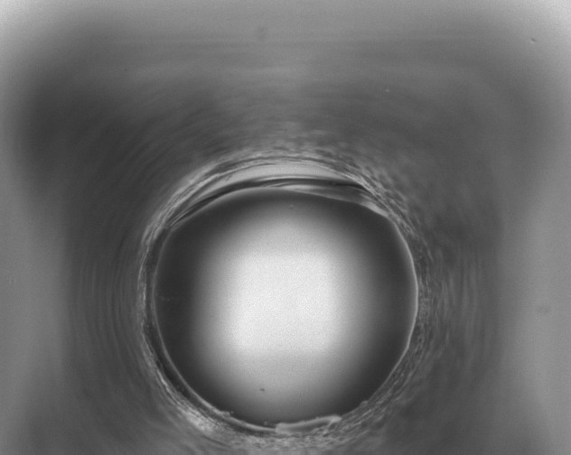 X0000071390005200606301848