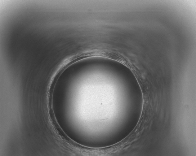 X0000071390006200606301848