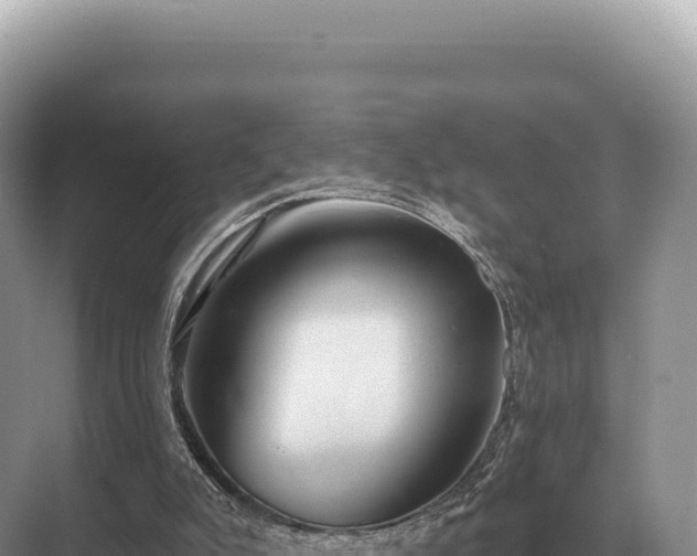 X0000071390007200606301848