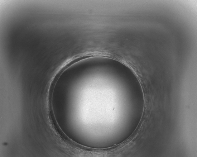 X0000071390008200606301848