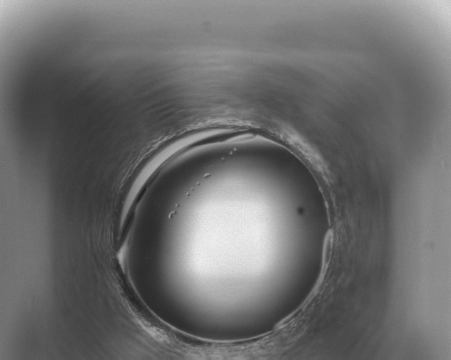 X0000071390009200606301848