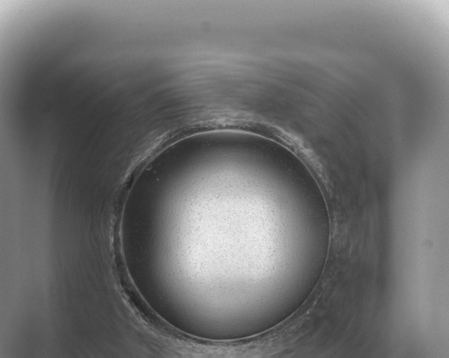 X0000071390010200606301848