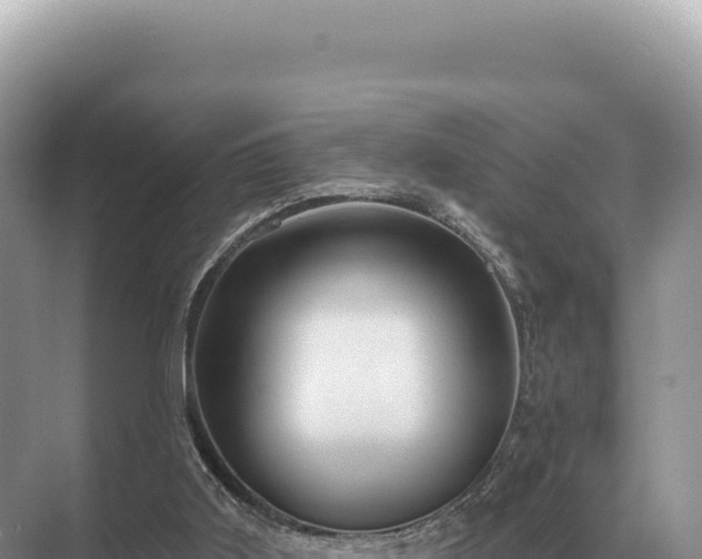 X0000071390011200606301848