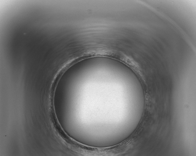 X0000071390012200606301848