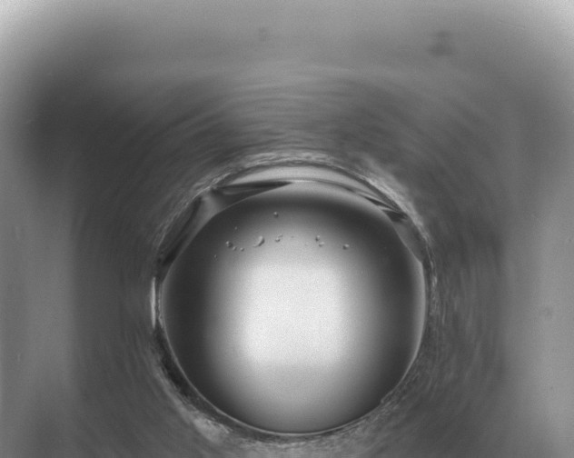 X0000071390013200606301848