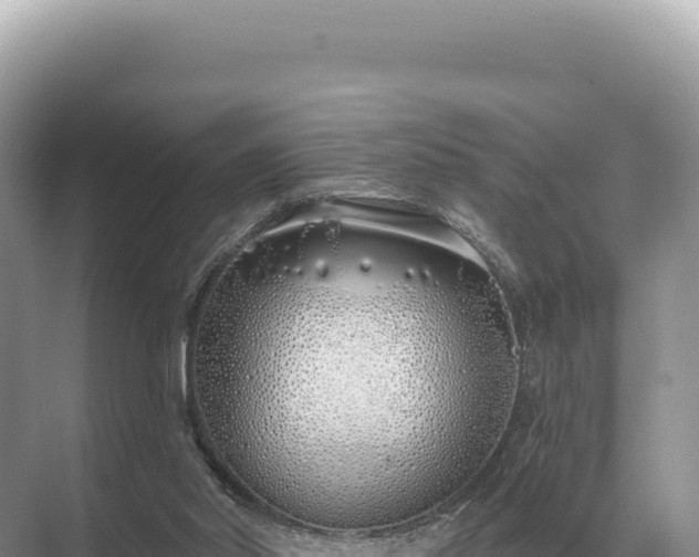 X0000071390014200606301848