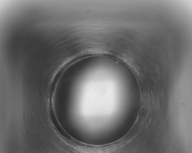 X0000071390015200606301848