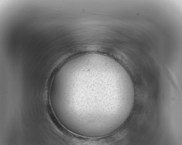 X0000071390016200606301847