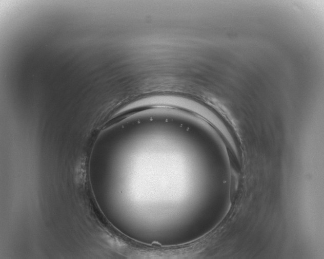 X0000071390017200606301847