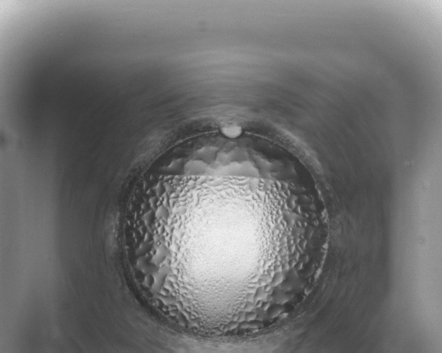 X0000071390018200606301847