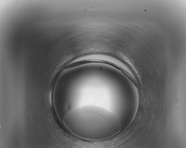 X0000071390019200606301847