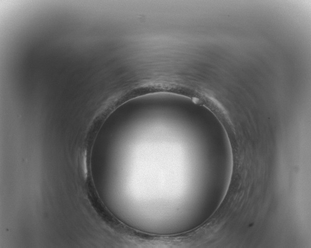 X0000071390020200606301847