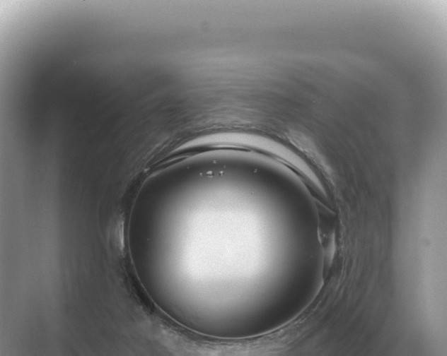 X0000071390021200606301847