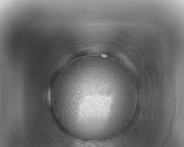 X0000071390022200606301847