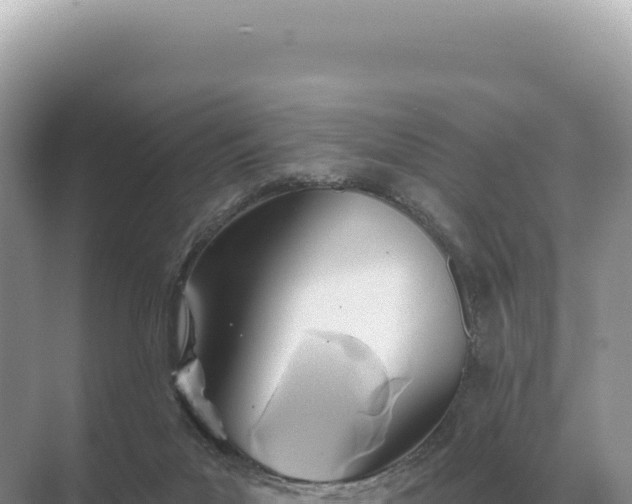 X0000071390023200606301847