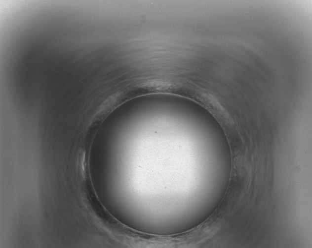 X0000071390024200606301847