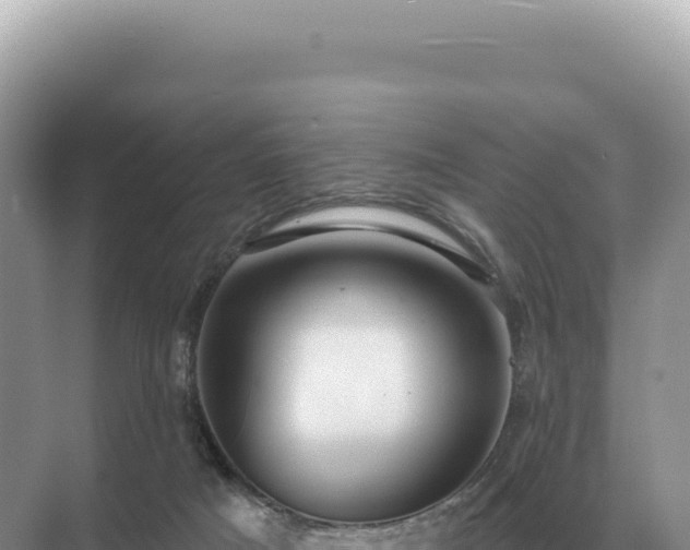 X0000071390025200606301847