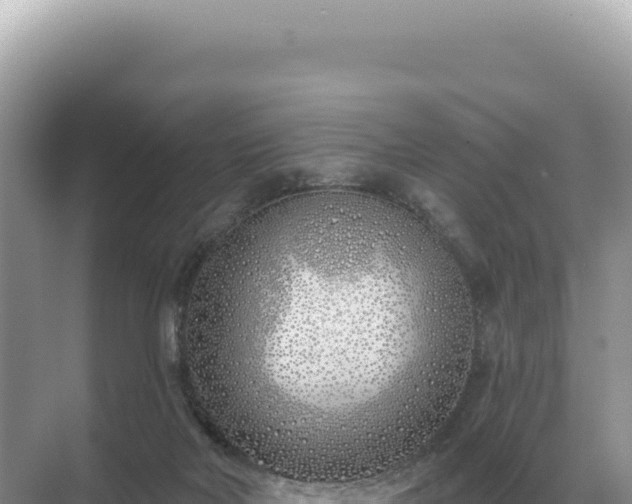 X0000071390026200606301847