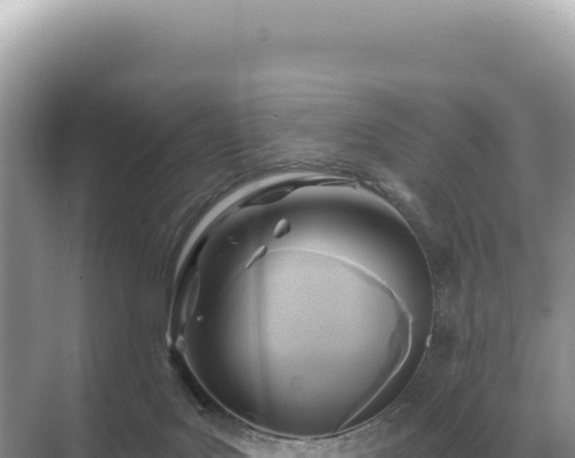 X0000071390027200606301847