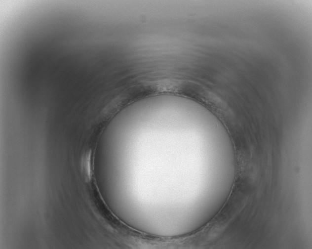 X0000071390028200606301847