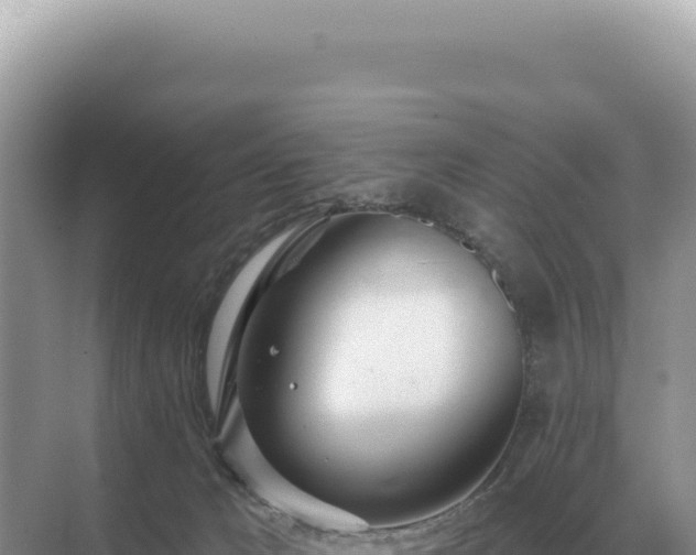 X0000071390029200606301847