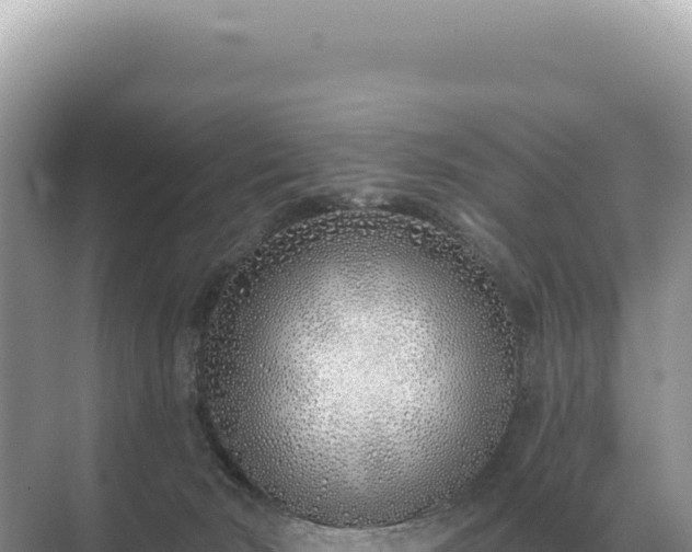 X0000071390030200606301847