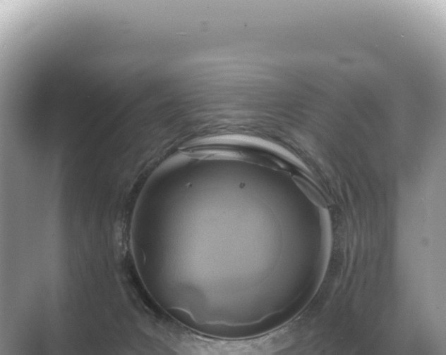 X0000071390031200606301847