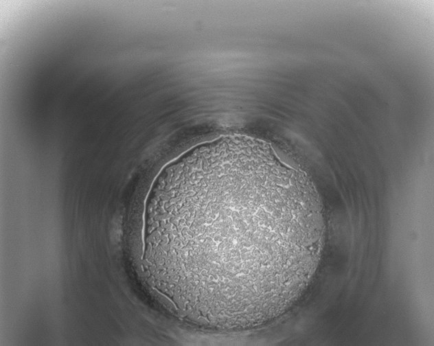 X0000071390032200606301847