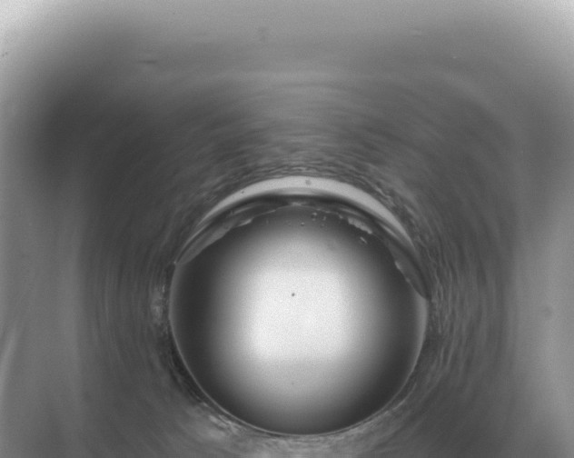 X0000071390033200606301847