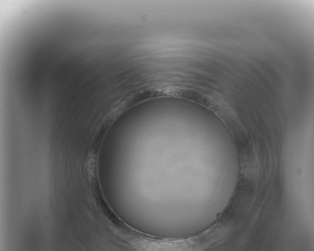 X0000071390036200606301847