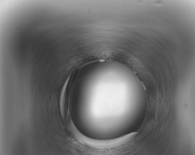 X0000071390037200606301847