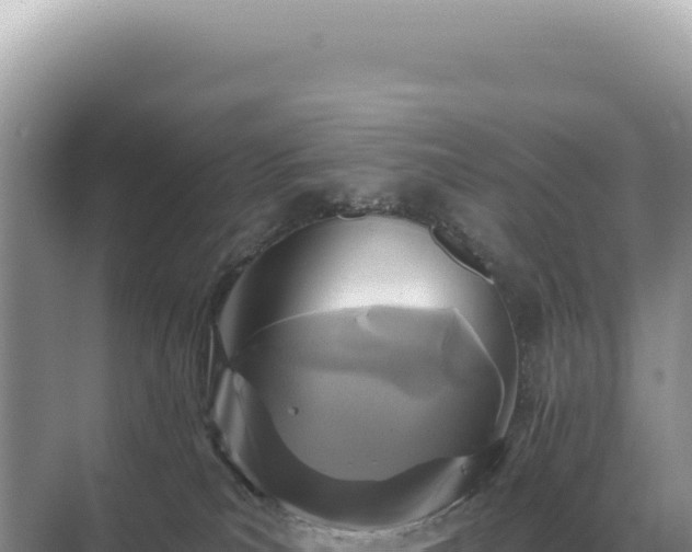 X0000071390039200606301847