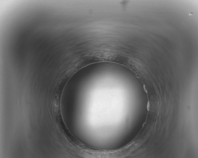 X0000071390040200606301847