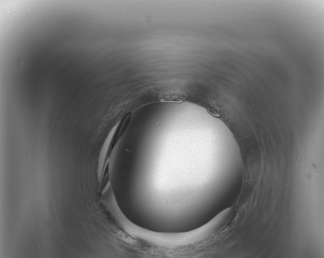 X0000071390041200606301847