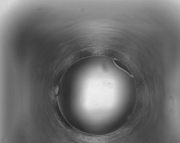 X0000071390044200606301847