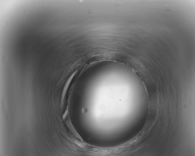 X0000071390045200606301847