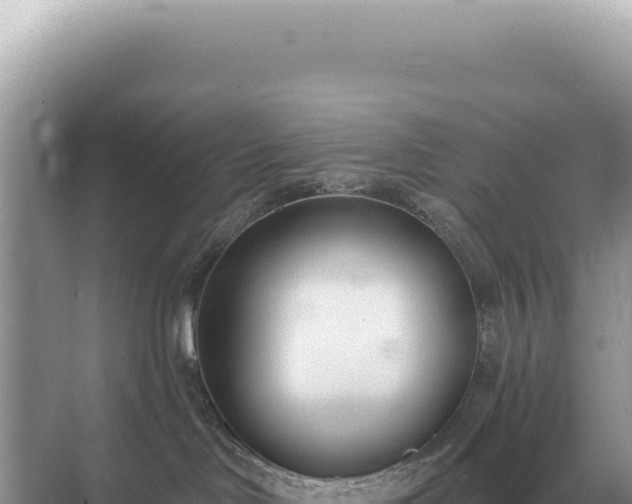 X0000071390046200606301847