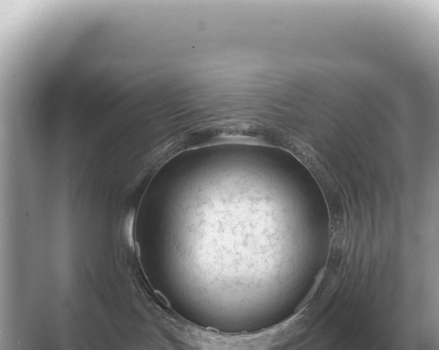 X0000071390047200606301847