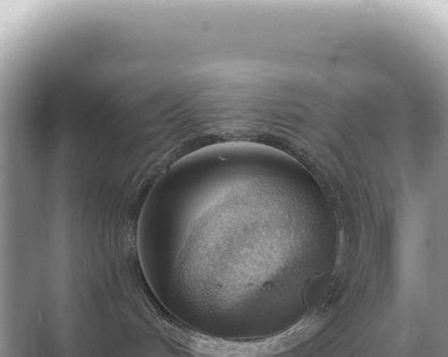 X0000071390048200606301847