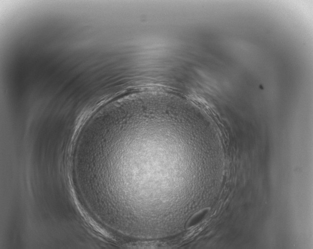 X0000071390049200606301846