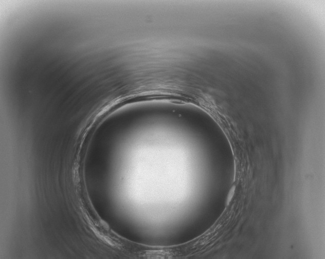 X0000071390050200606301846