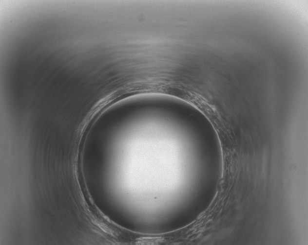 X0000071390051200606301846