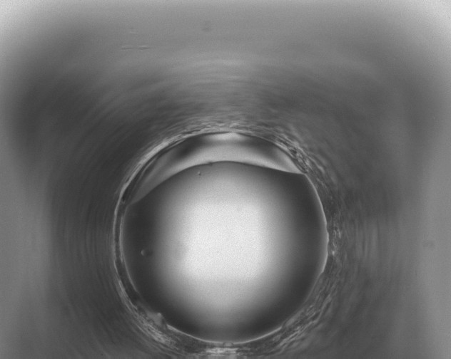 X0000071390052200606301846