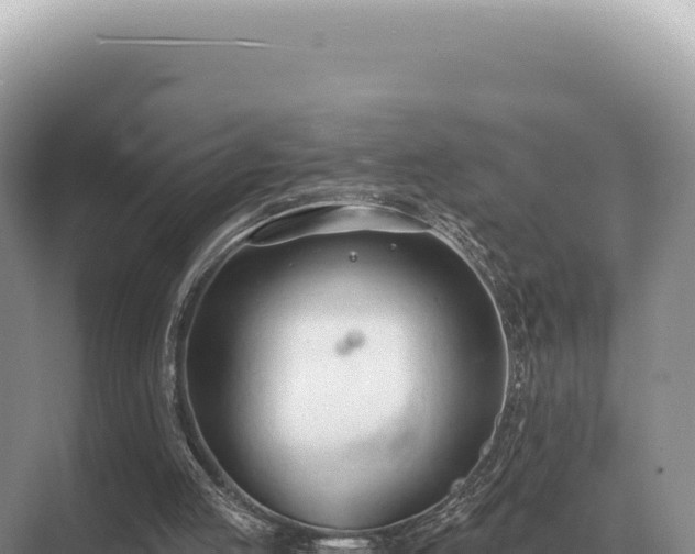 X0000071390053200606301846